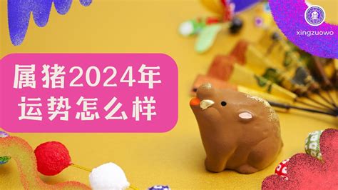 猪年2024运程|2024年属猪人的全年运势 属猪2024年每月运程宋韶光